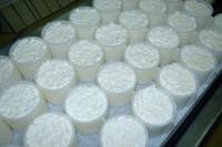 Fabrication du fromage - Egouttage du caillé (moules avec réhausses)